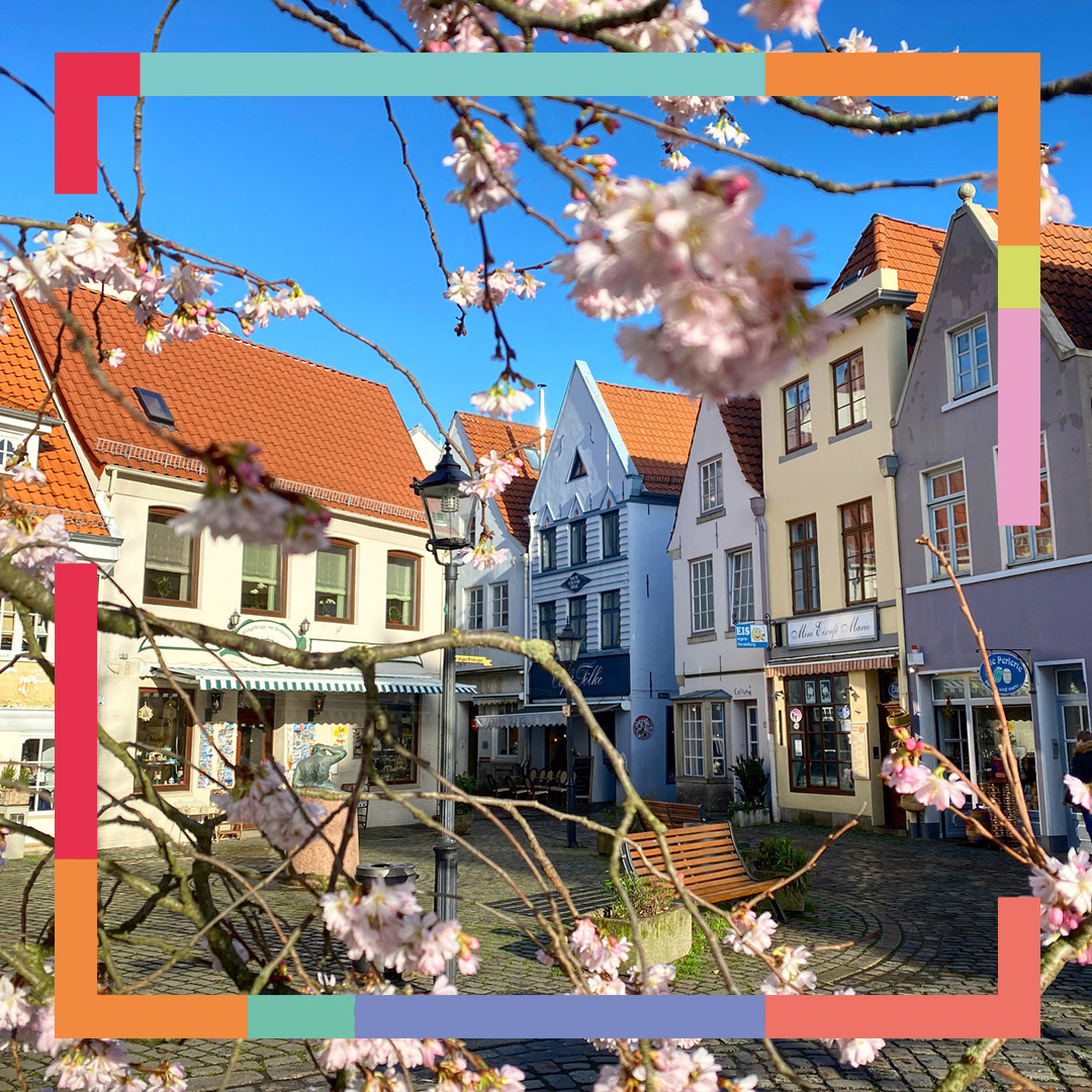 Bremer Häuser mit Kirschblüte